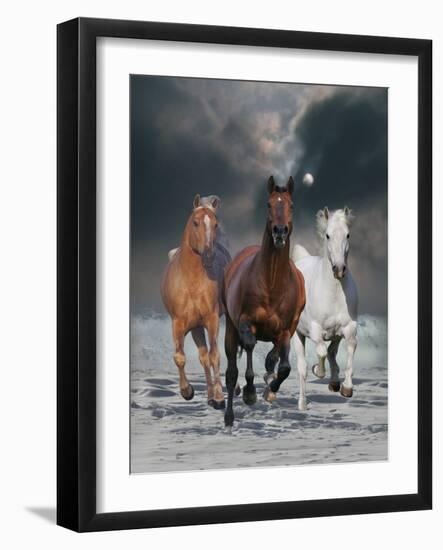 The Charmed Ones-Bob Langrish-Framed Photographic Print
