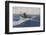 The Chase of the Bow-Head Whale-Clifford W. Ashley-Framed Photographic Print