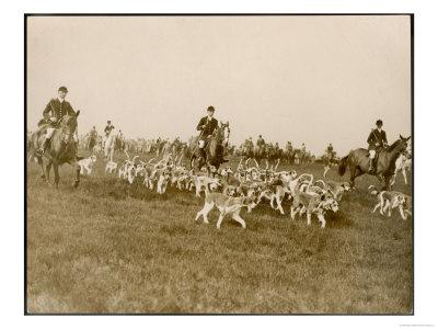  The Chase Of The Devon And Somerset Stag Hunt With Horses And Hounds Running Downhill England 