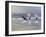 The Chase-William Ireland-Framed Giclee Print