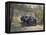 The Chauffeur of a Renault 40CV Torpedo Sport-null-Framed Premier Image Canvas