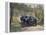 The Chauffeur of a Renault 40CV Torpedo Sport-null-Framed Premier Image Canvas