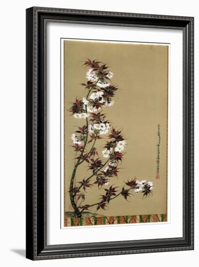 The Cherry Blossoms of Mikawa, 19th Century-Wilhelm Greve-Framed Giclee Print