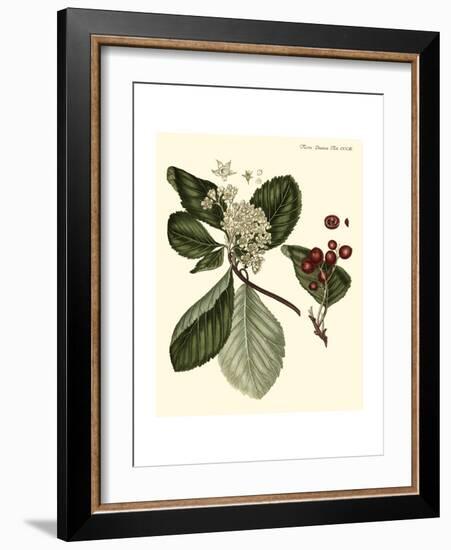 The Cherry Tree-Georg C. Oeder-Framed Art Print