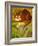 The Cheshire Cat at Daresbury-Frances Broomfield-Framed Giclee Print