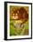 The Cheshire Cat at Daresbury-Frances Broomfield-Framed Giclee Print