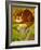 The Cheshire Cat at Daresbury-Frances Broomfield-Framed Giclee Print