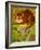 The Cheshire Cat at Daresbury-Frances Broomfield-Framed Giclee Print