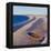 The Chesil Beach, 2000-Liz Wright-Framed Premier Image Canvas