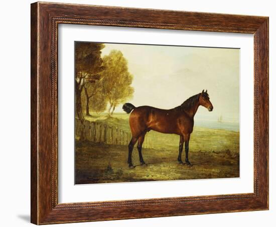 The Chestnut Hunter 'Berry Brown' in a Field by an Estuary, with Sailing Ships in the Distance-Benjamin Marshall-Framed Giclee Print