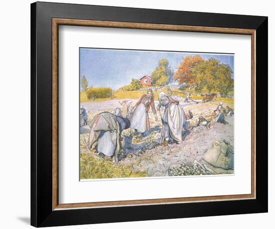 The Children Filled the Buckets and Baskets with Potatoes-Carl Larsson-Framed Giclee Print