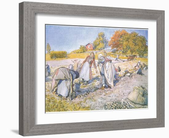 The Children Filled the Buckets and Baskets with Potatoes-Carl Larsson-Framed Giclee Print