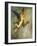 The Chimera, 1866-Gustave Moreau-Framed Giclee Print