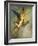 The Chimera, 1866-Gustave Moreau-Framed Giclee Print