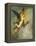 The Chimera, 1866-Gustave Moreau-Framed Premier Image Canvas