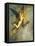 The Chimera, 1866-Gustave Moreau-Framed Premier Image Canvas