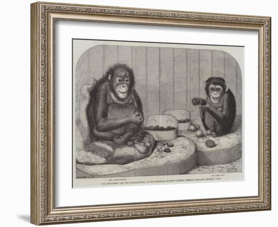 The Chimpanzee and the Ourang-Outang at the Zoological Society's Gardens, Regent's Park-Friedrich Wilhelm Keyl-Framed Giclee Print