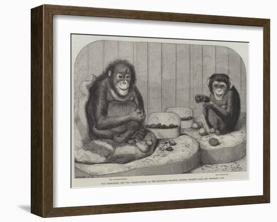 The Chimpanzee and the Ourang-Outang at the Zoological Society's Gardens, Regent's Park-Friedrich Wilhelm Keyl-Framed Giclee Print