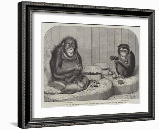 The Chimpanzee and the Ourang-Outang at the Zoological Society's Gardens, Regent's Park-Friedrich Wilhelm Keyl-Framed Giclee Print