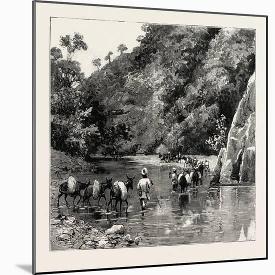 The Chin Lushai Expeditionary Force, a Mule Convoy Crossing the Loung Gut Choung Stream, 1890-null-Mounted Giclee Print