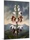 Premium Giclee Print