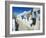 The Chora Village, Kastro, Folegandros, Cyclades Islands, Greek Islands, Greece, Europe,-Tuul-Framed Photographic Print