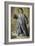 The Christ Child-Francisco de Zurbarán-Framed Giclee Print