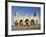 The Christian Medehanyalem Church, Addis Ababa, Ethiopia, Africa-Gavin Hellier-Framed Photographic Print