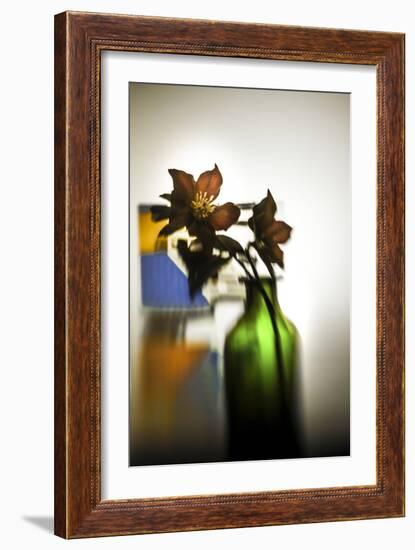 The Christmas Rose-Valda Bailey-Framed Photographic Print