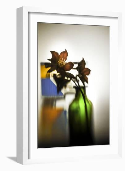 The Christmas Rose-Valda Bailey-Framed Photographic Print