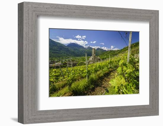 The Church of Bianzone Seen from the Green Vineyards of Valtellina, Lombardy, Italy, Europe-Roberto Moiola-Framed Photographic Print