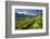 The Church of Bianzone Seen from the Green Vineyards of Valtellina, Lombardy, Italy, Europe-Roberto Moiola-Framed Photographic Print