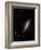 The Cigar Galaxy-Stocktrek Images-Framed Photographic Print