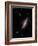 The Cigar Galaxy-Stocktrek Images-Framed Photographic Print