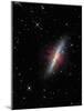 The Cigar Galaxy-Stocktrek Images-Mounted Photographic Print