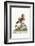 The Cinese Teal, 1749-73-George Edwards-Framed Giclee Print
