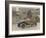 The Citroen Caddy of 12Hp is a Sporty Little Two-Seater for Summer Touring-null-Framed Photographic Print