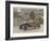 The Citroen Caddy of 12Hp is a Sporty Little Two-Seater for Summer Touring-null-Framed Photographic Print