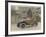 The Citroen Caddy of 12Hp is a Sporty Little Two-Seater for Summer Touring-null-Framed Photographic Print