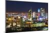 The City Center and Central Business District at Night, Astana, Kazakhstan, Central Asia-Gavin Hellier-Mounted Photographic Print