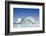 The City of Arts and Sciences, Valencia, Spain, Europe-Michael Snell-Framed Photographic Print