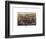 The City of Boston, Massachusetts, 1873-Parsons and Atwater-Framed Art Print