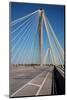 The Clark Bridge over the Mississippi River, also known as Cook Bridge, at Alton, Illinois-Joseph Sohm-Mounted Photographic Print