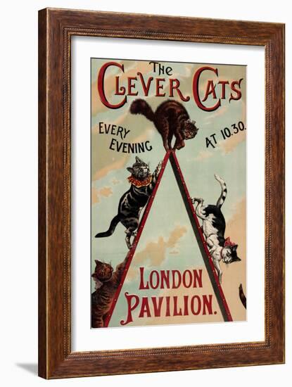 The Clever Cats--Framed Giclee Print