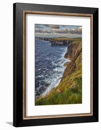 The cliffs at Loop Head, near Kilkee, County Clare, Munster, Republic of Ireland, Europe-Nigel Hicks-Framed Photographic Print