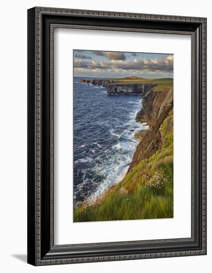 The cliffs at Loop Head, near Kilkee, County Clare, Munster, Republic of Ireland, Europe-Nigel Hicks-Framed Photographic Print