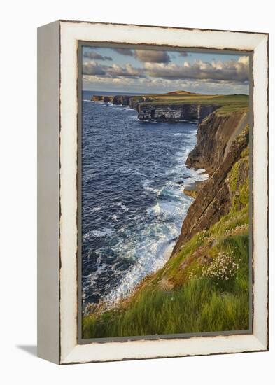 The cliffs at Loop Head, near Kilkee, County Clare, Munster, Republic of Ireland, Europe-Nigel Hicks-Framed Premier Image Canvas