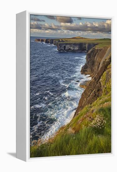 The cliffs at Loop Head, near Kilkee, County Clare, Munster, Republic of Ireland, Europe-Nigel Hicks-Framed Premier Image Canvas
