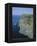 The Cliffs of Moher, County Clare, Munster, Republic of Ireland (Eire), Europe-Roy Rainford-Framed Premier Image Canvas