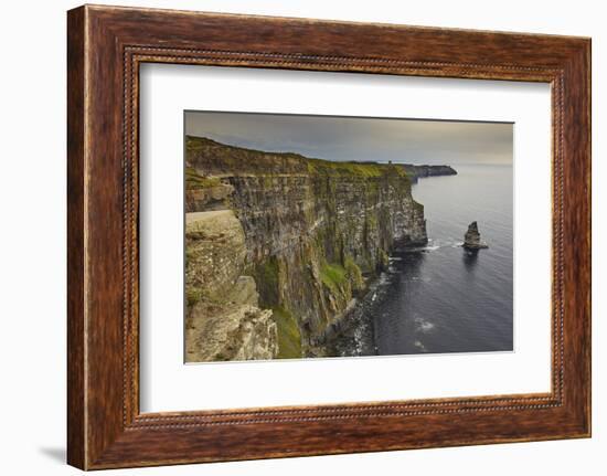 The Cliffs of Moher, near Lahinch, County Clare, Munster, Republic of Ireland, Europe-Nigel Hicks-Framed Photographic Print